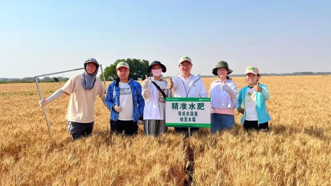 十余年追问“促根”机理,他们解开木霉与植物的共生密码 十余年追问“促根”机理,他们解开木霉与植物的共生密码